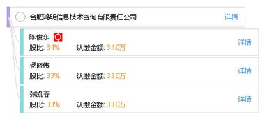 合肥鴻明信息技術(shù)咨詢有限責(zé)任公司 專業(yè)信息技術(shù)咨詢服務(wù)的引領(lǐng)者