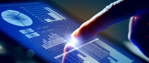 楊德龍 上半年我國經(jīng)濟探底回升，下半年有望繼續(xù)復(fù)蘇，信息技術(shù)咨詢服務(wù)前景廣闊